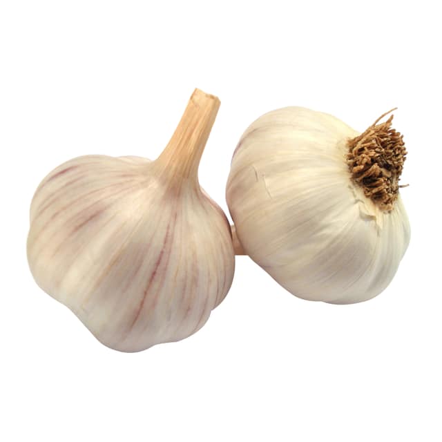 Fresh Garlic Bulbs