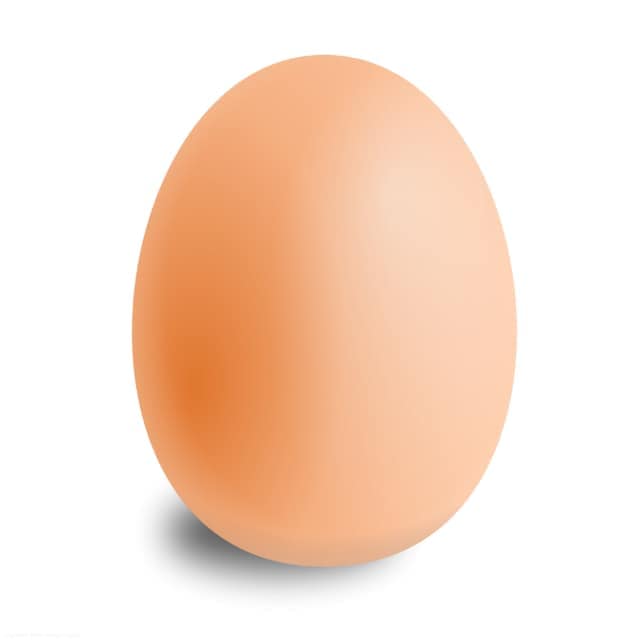 Organic Free Range Eggs
