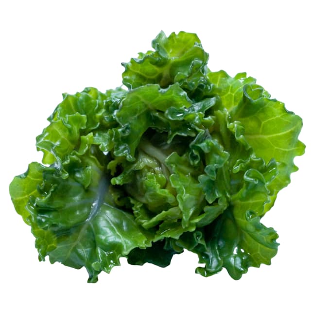 Organic Kale Bunch